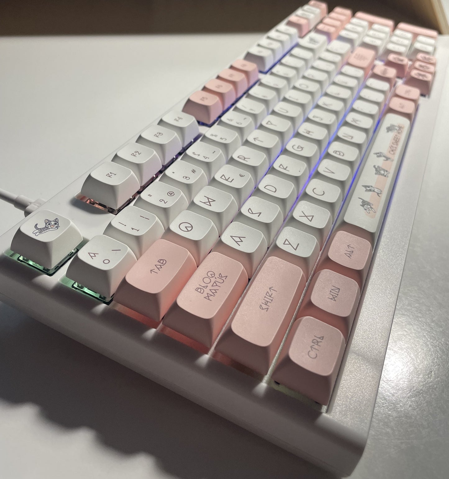 Teclado mecánico Gatitos
