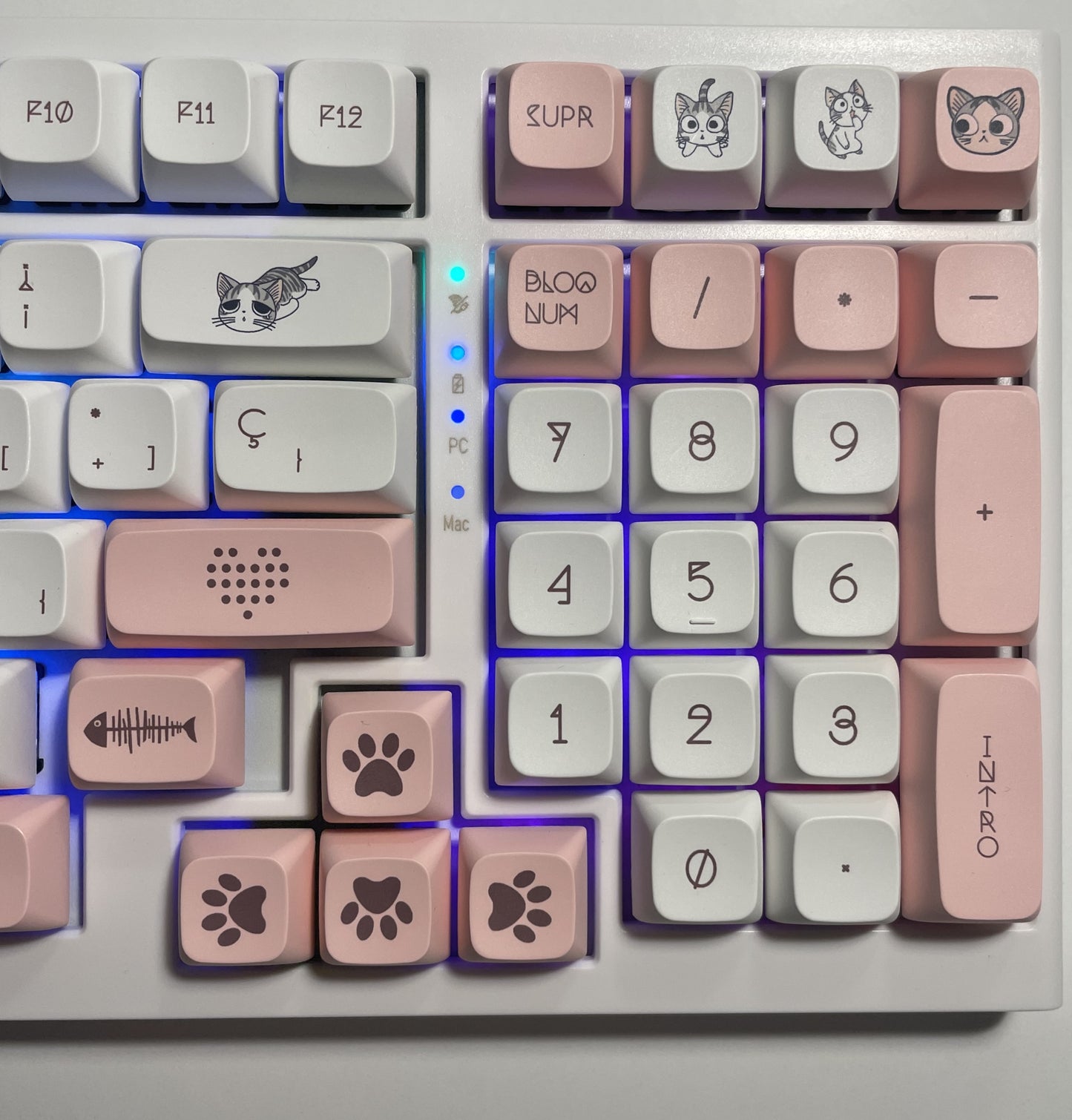 Teclado mecánico Gatitos